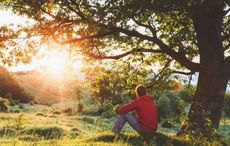 Celebrate Ireland's oldest trees with Irish Heritage Tree