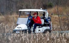 In America, we need leadership, but we've got lemmings