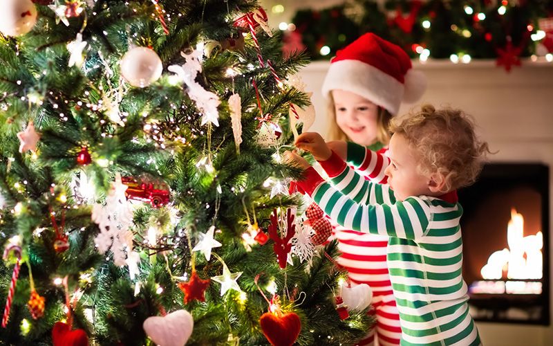 Last chance to plant your Irish family's roots in Ireland for Christmas