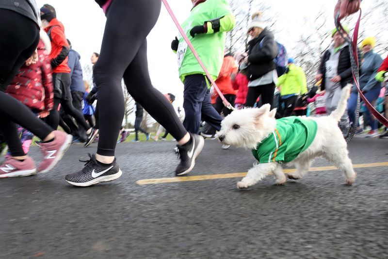 New fitness challenge will take you on a virtual pub crawl of Ireland