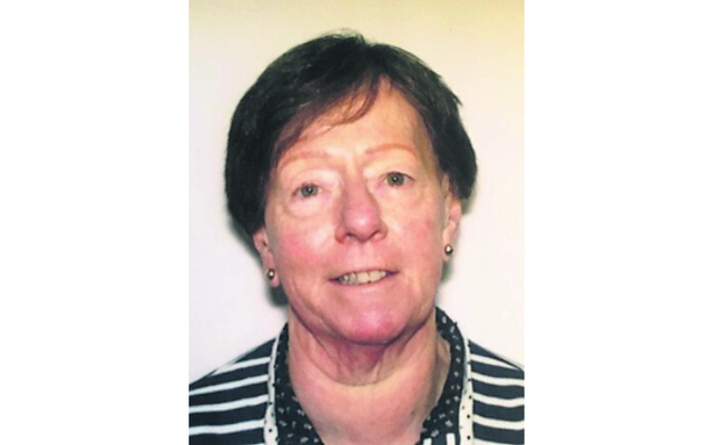 Tipperary independent candidate Marese Skehan passed away suddenly.