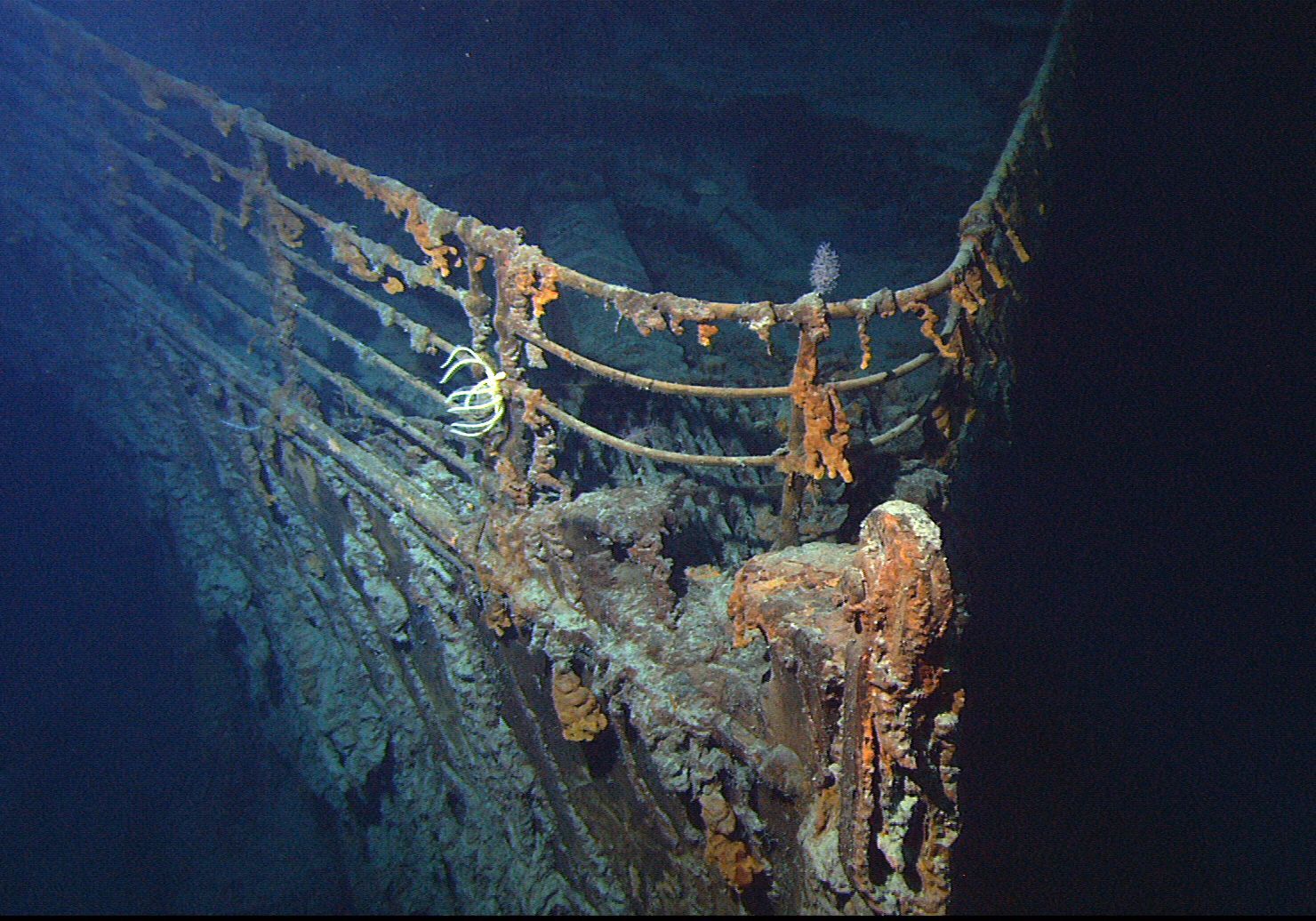 Titanic a gravesite claim Irish experts seeking to prevent salvage company entering it