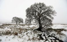 Snow and ice warning issued for the whole of Ireland
