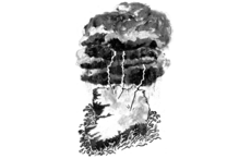 Coronavirus and politics - the Wildest of Atlantic Ways