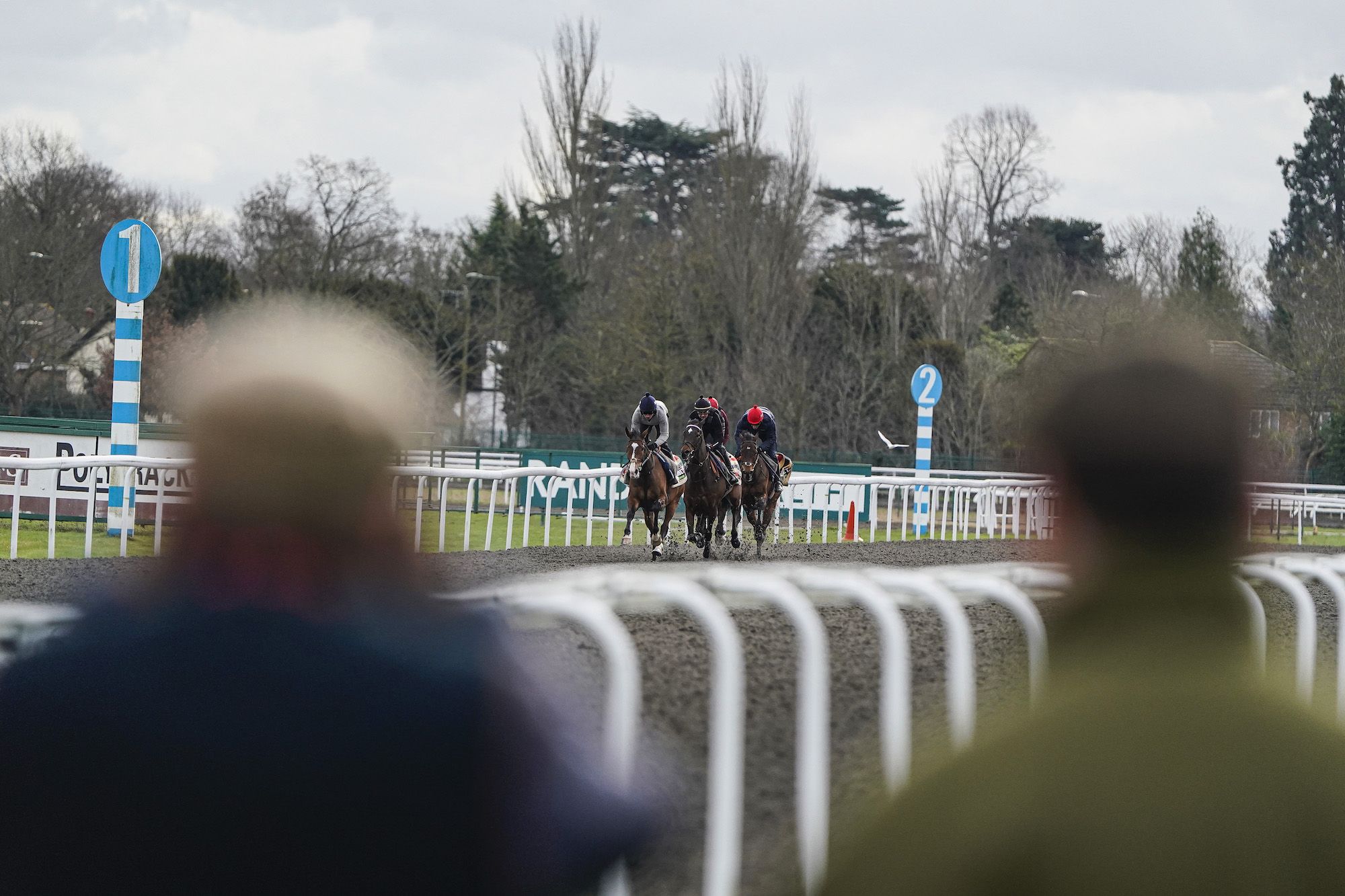 Cheltenham assures Irish fans races will go ahead amid COVID-19 outbreak