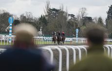 Cheltenham assures Irish fans races will go ahead amid COVID-19 outbreak