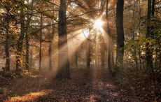 An Irish blessing of light and hope