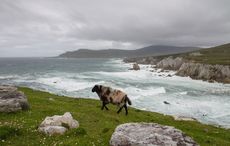 Ireland’s islands remains COVID-19 free