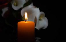 RTÉ launch virtual memorial wall for COVID-19 victims 