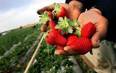 Time to recognize all laborers during our coronavirus pandemic