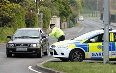 Northern Ireland man arrested after driving cross-country to buy puppy amidst lockdowns