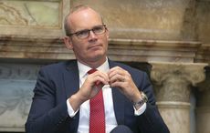  Tánaiste feels pain of Irish immigrants during pandemic, pays tribute to NYC Irish