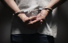 Irish American woman accused of killing Arkansas state senator for money