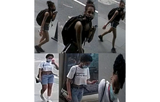 Reward for identity of NYC St. Patrick’s Cathedral vandals