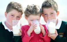 Irish food authority warns vegans there's no alternative to cow’s milk for children