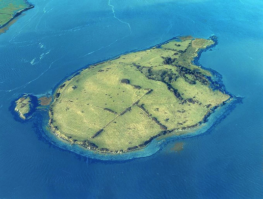 Shore Island, in the Shannon Estuary, County Clare.