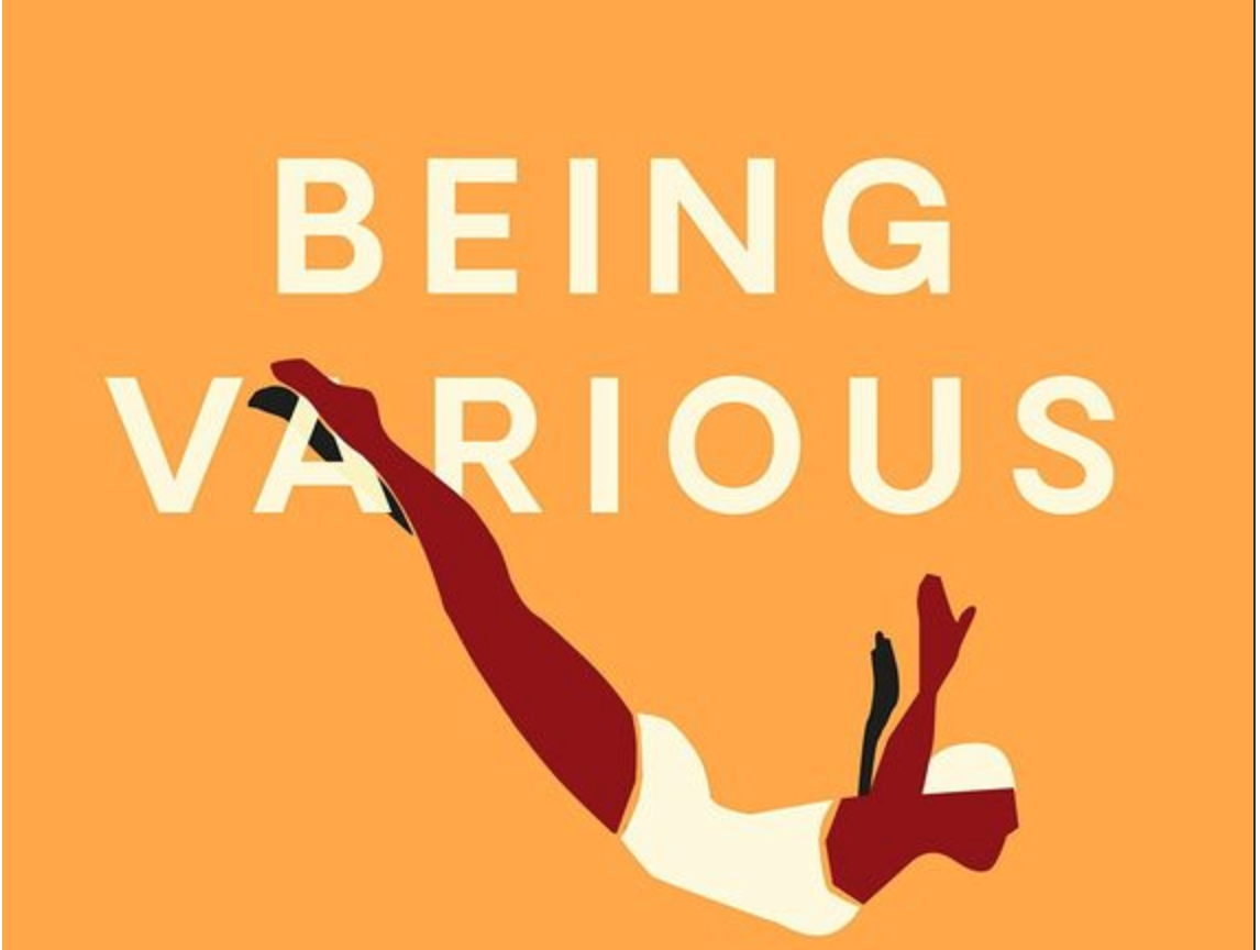 "Being Various: New Irish Short Stories" reviewed