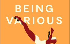 "Being Various: New Irish Short Stories" reviewed