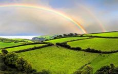 Indulge your Irish wanderlust with these travel guides