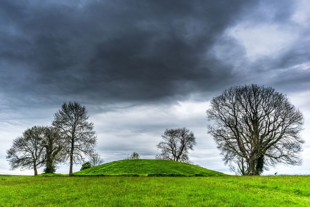 Navan Fort, in County Armagh, now believed to be home to a vast temple complex.