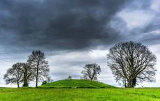 Evidence of massive Iron Age temple complex at prehistoric Irish site