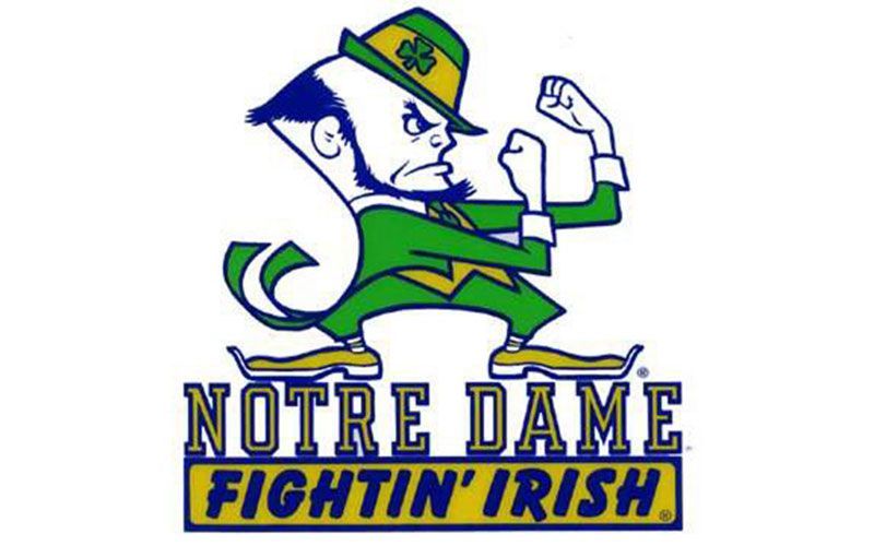 The Fighting Irish immigrants memory lapses and follies