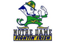 The Fighting Irish immigrants memory lapses and follies