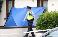 Pensioner brutally stabbed to death in Dublin murder