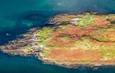 Cork island on the market failed to become first island bought by crowdfunding