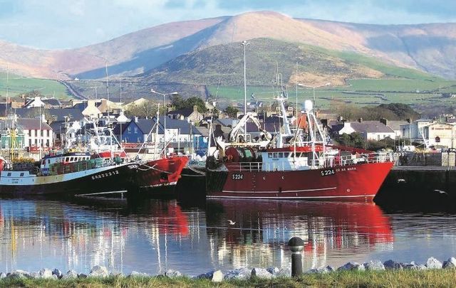 Plenty of people say they\'re excited to visit Dingle in Co Kerry and who could blame them!
