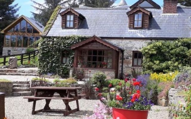 A WWOOF farm in County Clare. 