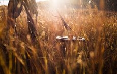 Northern Irish 10-year-old discovers ancient broadsword using his new metal detector