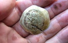 Ancient Russian coins discovered in Cork
