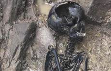Skeletal remains of Viking child found during Dublin excavation