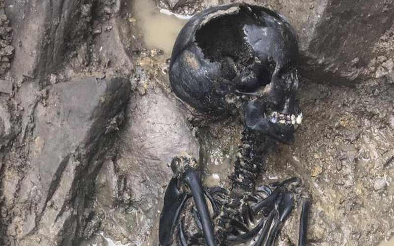 Skeletal remains of Viking child found during Dublin excavation
