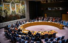 Ireland embarks on first week as new member of UN Security Council