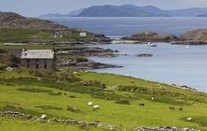 An Cailleach - the Irish goddess of the winter and following her trail in Ireland