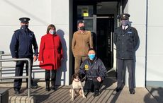 Stolen dog reunited with her family in Co Cork after being found in UK