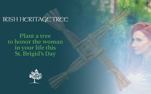 IrishCentral celebrates St. Brigid’s Day with the Irish Heritage Tree program.