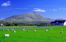 We can't wait to indulge our senses again in Ireland when the time is right