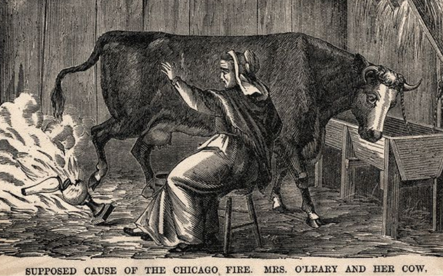 A woman has found out that she\'s related to Catherine O\'Leary of the Great Fire of Chicago legend