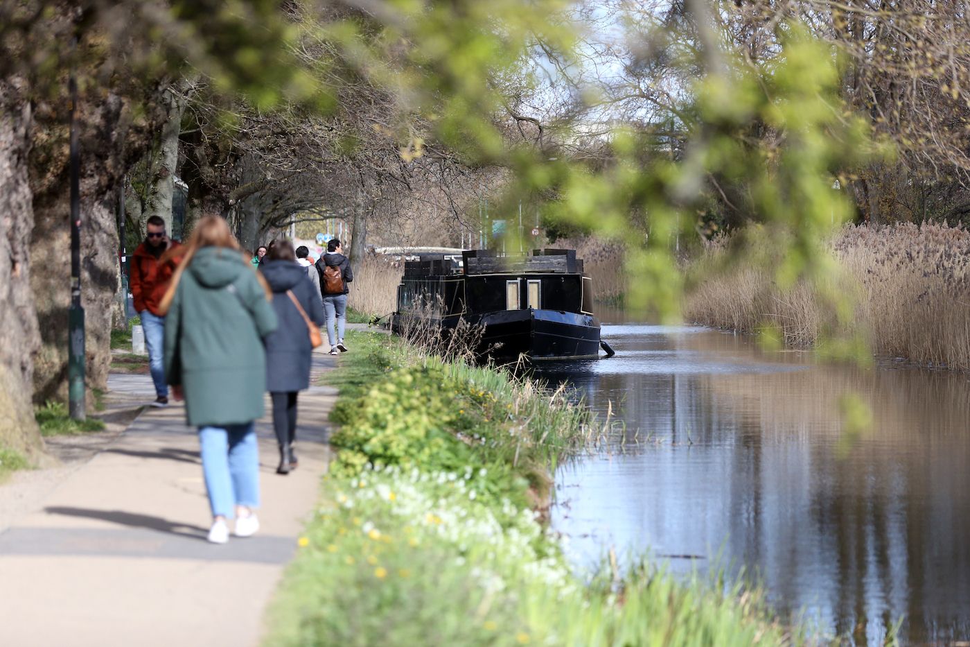 Dublin neighborhood ranked 15th coolest in the world