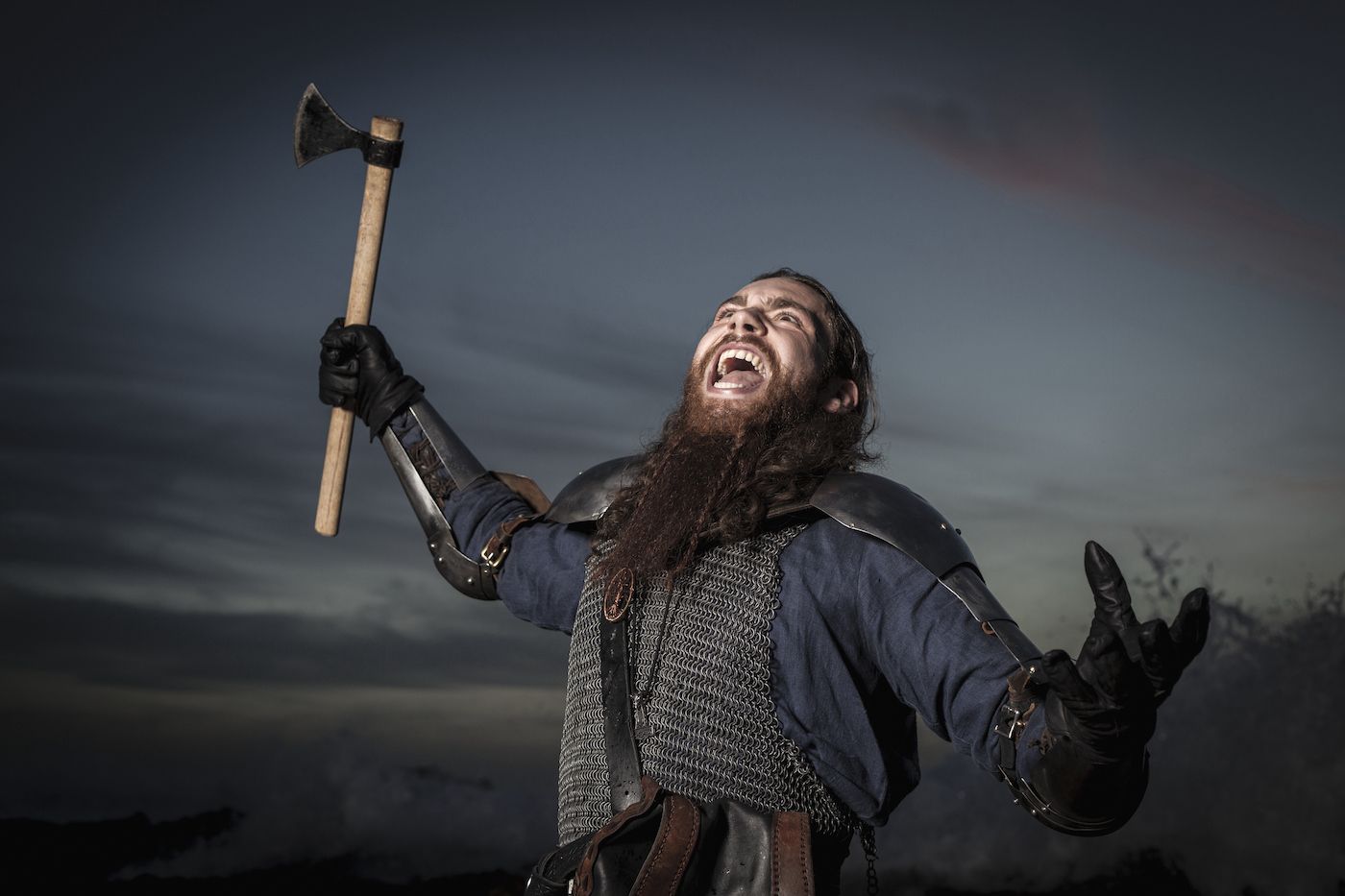 DNA evidence shows how well Irish integrated with Vikings
