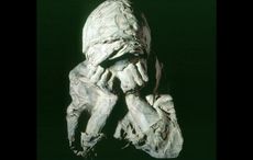 Dr. John Lahey saddened over closure of Ireland’s Great Hunger Museum