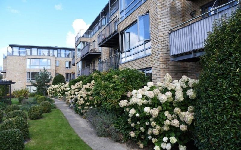 All treat and no trick! Win this beautiful coastal property for just €23 in Halloween draw!