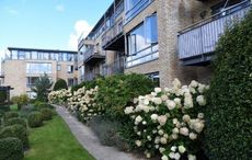 All treat and no trick! Win this beautiful coastal property for just €23 in Halloween draw! 