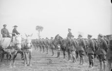 Online archive names over 30,000 Irish soldiers lost in World War I