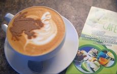 Meet the local community at Box of Frogs café, Bantry, County Cork