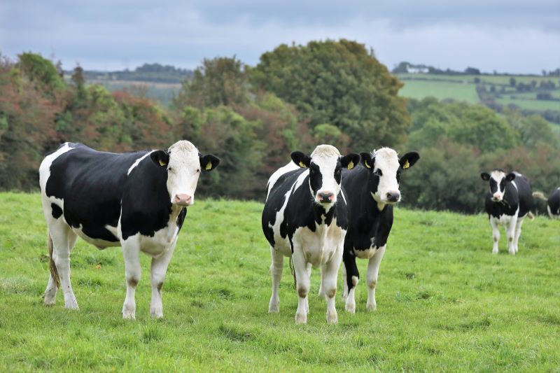 Outside COP26, times are changing for Irish farming