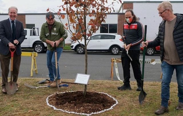 Representative Richard Neal, Michael Ireland, Sean Patrick Crane, and Pat Murray plant \"Crann na Saoirse – A Tree for Irish Unity.\"